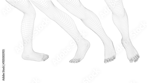 Human body parts. Foot wireframe vector.