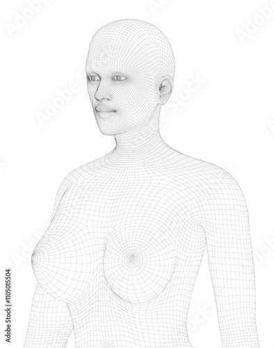 Beautiful naked woman poses. Female Body. 3d wireframe vector.