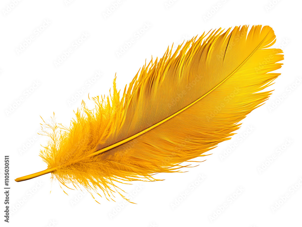 Fototapeta premium Vibrant yellow feather isolated on white background.