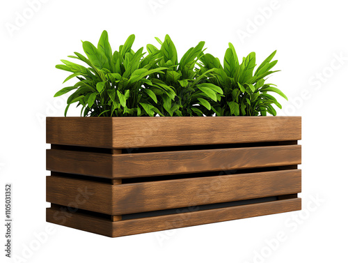 Wooden planter box filled with lush green plants on a white isolated background.