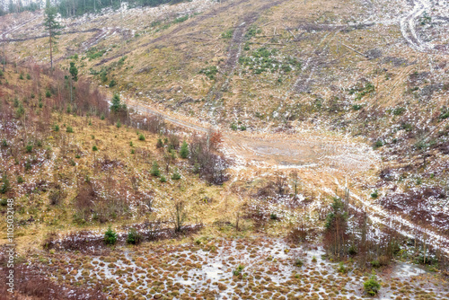 Clearcutting area with logging roads in a valley photo