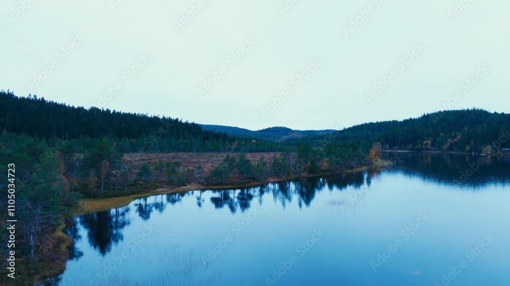 Mirror Reflections Of Trees Over Tranquil Lake. Aerial Drone Shot Mirror Reflections Of Trees Over Tranquil Lake. Aerial Drone Shot