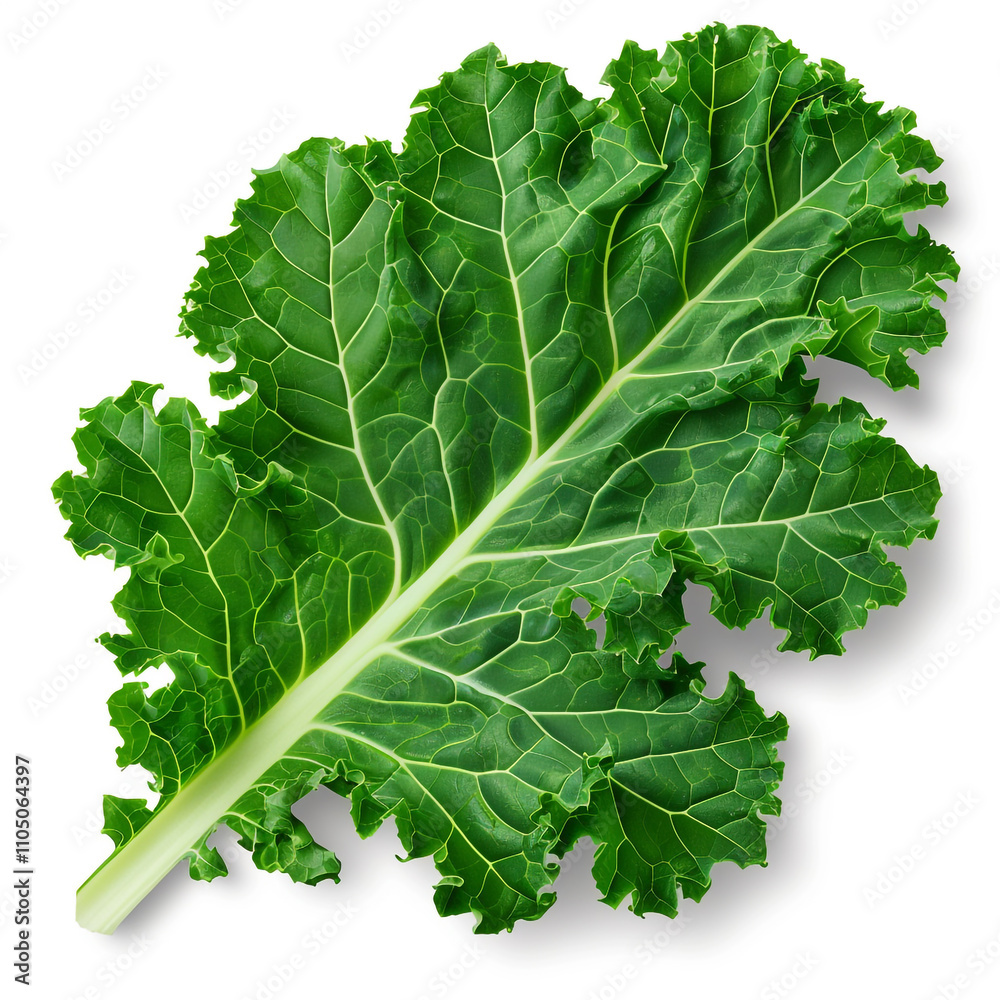 Close-up of a Vibrant Green Kale Leaf with Crisp Texture Close-up of a Vibrant Green Kale Leaf with Crisp Texture