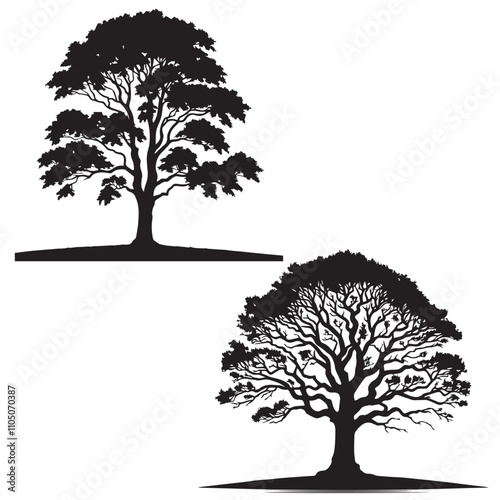 Elm tree set silhouette  - vector image of elm tree  - tree silhouette set - nature tree  leaf    