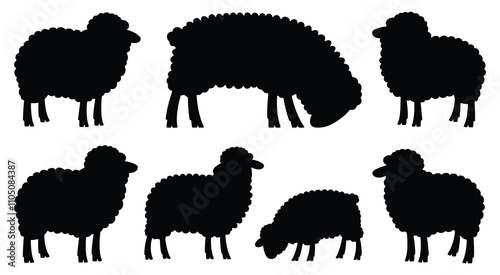Set of sheep silhouettes, farm animals, wool, grazing, vector illustration.