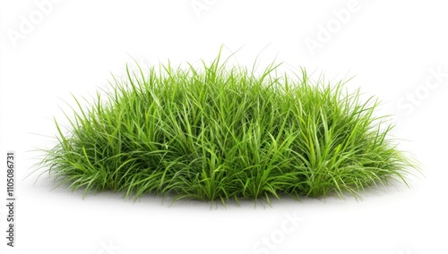 Here's a and keyword list for your image.. Lush green grass tuft isolated on white background. (1)