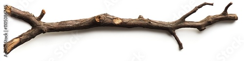 Isolated Wooden Stick: A Natural Tree Branch with Bark Perfect for Outdoor and Nature Backgrounds