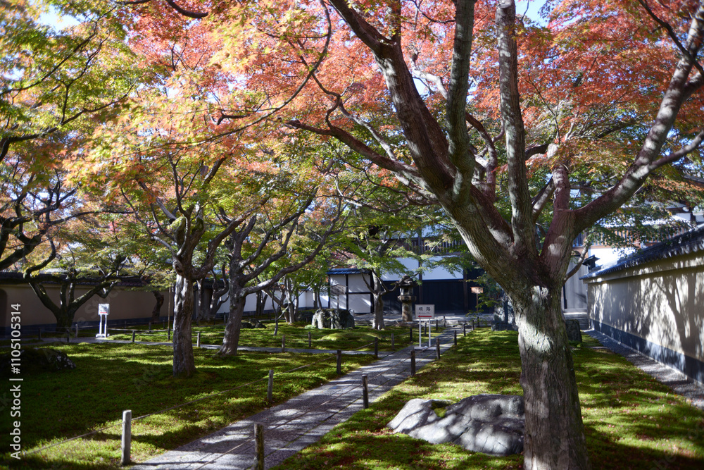 大徳寺　黄梅院の境内　京都市北区紫野