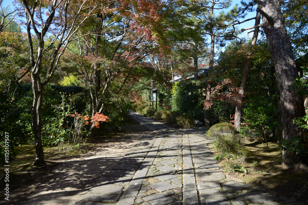 大徳寺 正受院の境内 京都市北区紫野 大徳寺 正受院の境内 京都市北区紫野