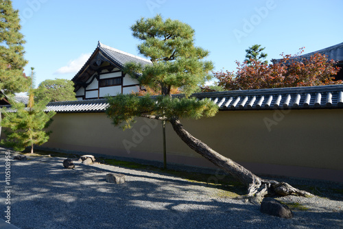 大徳寺　徳禅院　京都市北区紫野 photo