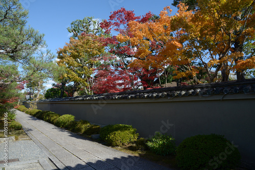 大徳寺　芳春院の参道と大仙院の紅葉　京都市北区紫野 photo