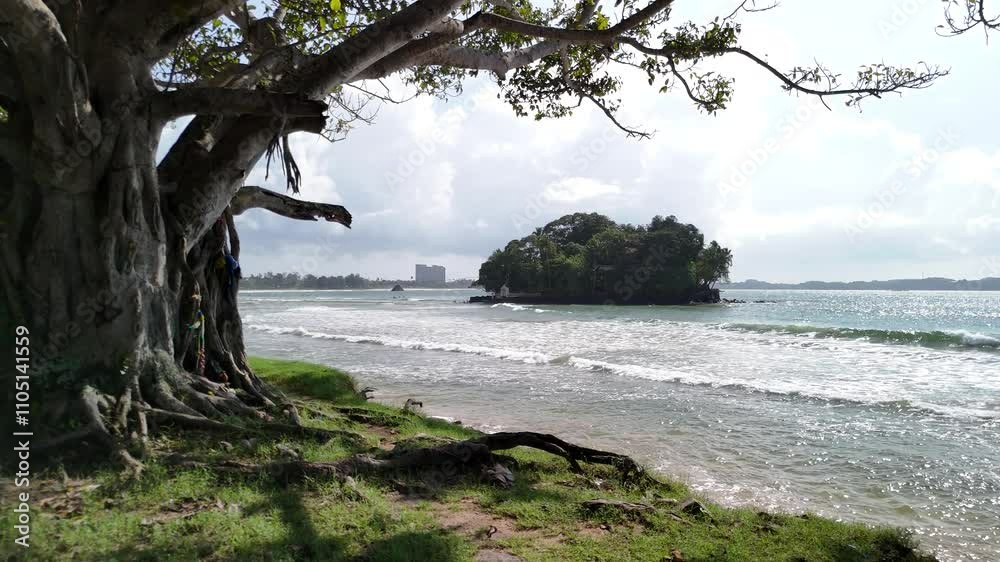 Calm exotic beach Indian ocean Sri Lanka South Asia, nature landscape Calm exotic beach Indian ocean Sri Lanka South Asia, nature landscape