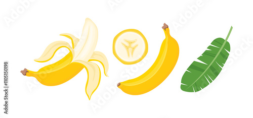 Banana set. Whole ripe banana, peeled, sliced and green palm leaf. Vector cartoon flat illustration. Tropical fruit icon.