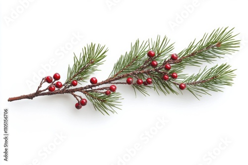 Minimalistic christmas theme with pine sprigs and red berries on white background