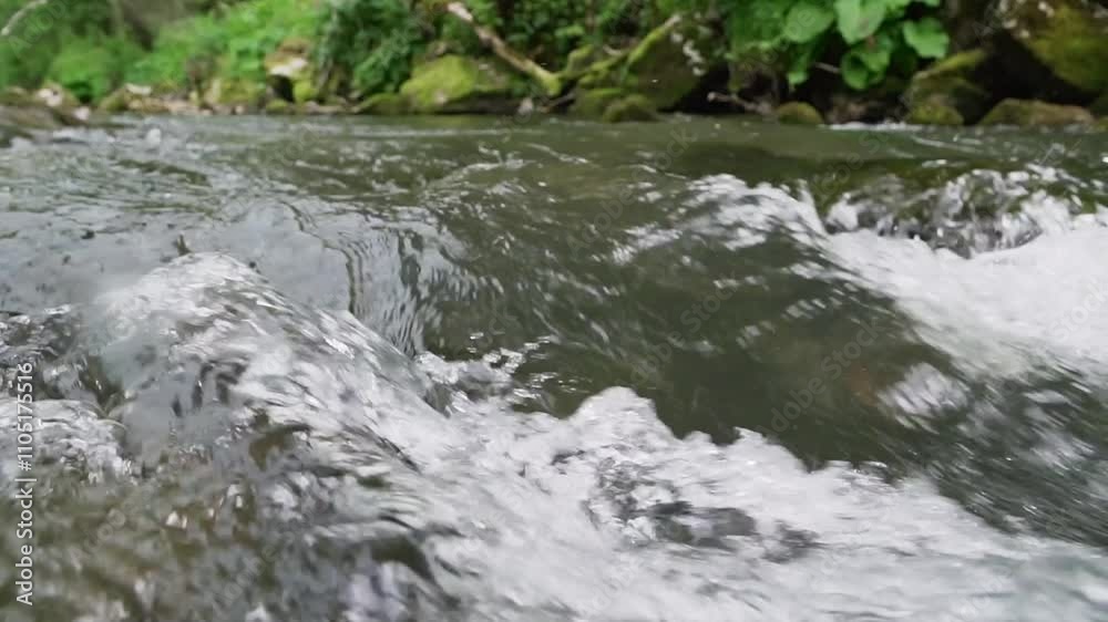 Exploring a serene creek with clear flowing water and lush vegetation along the banks in a peaceful natural setting Exploring a serene creek with clear flowing water and lush vegetation along the banks in a peaceful natural setting