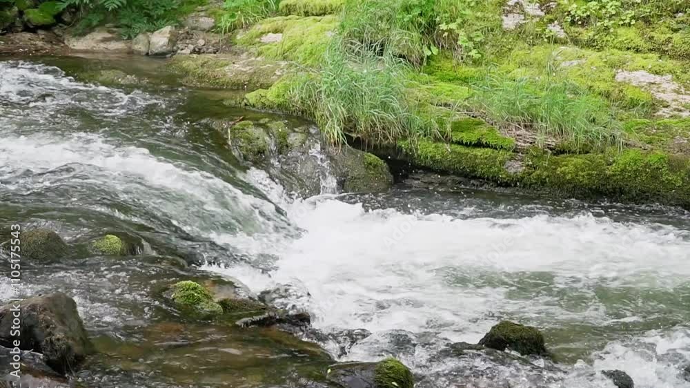 Relaxing flowing water in a serene natural setting surrounded by lush greenery Relaxing flowing water in a serene natural setting surrounded by lush greenery