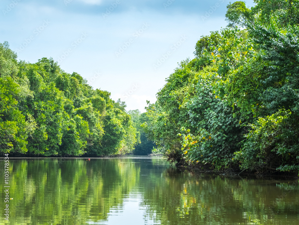 Baan Bang Pu, Pattani area is famous for its natural beauty of pristine mangrove forest and eco tourism. Baan Bang Pu, Pattani area is famous for its natural beauty of pristine mangrove forest and eco tourism.