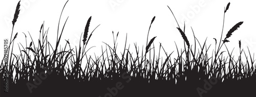 silhouette, Grassy Field Silhouette, vector