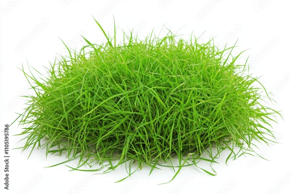 A dense clump of vibrant green grass blades evenly distributed and standing upright A dense clump of vibrant green grass blades evenly distributed and standing upright
