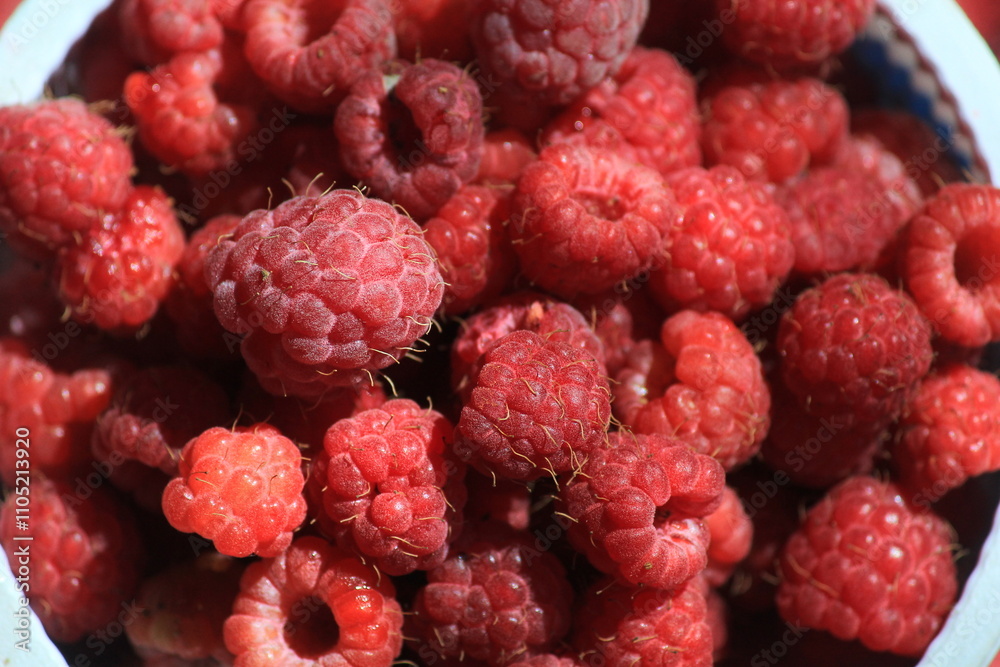 Red ripe raspberries close up Red ripe raspberries close up