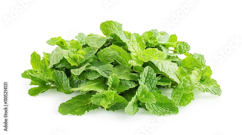 Collection of fresh green mint leaves isolated on white background