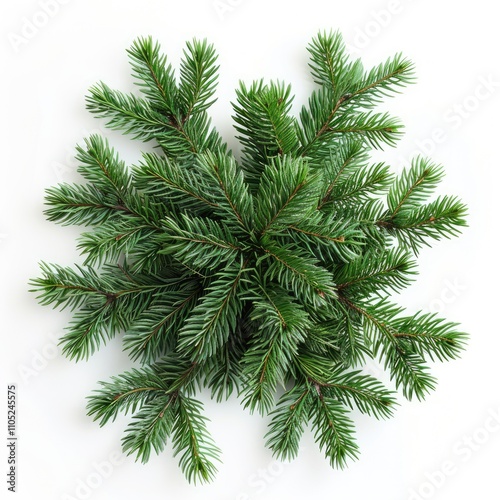 A lush arrangement of vibrant green pine branches, creating a festive and natural design.