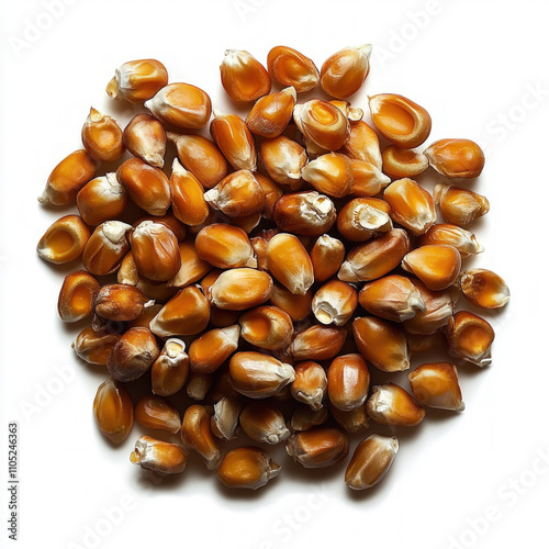 Popcorn Kernel Isolated