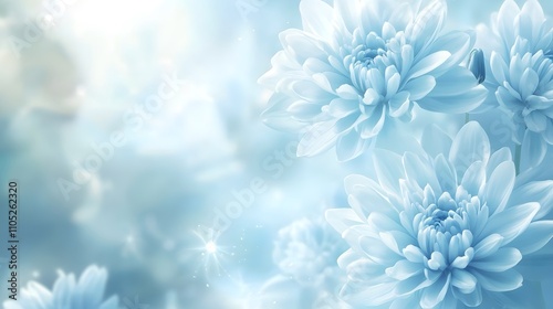 Blue-colored background with blooming chrysanthemums, close-up, blue flowers, blurred background, delicate and soft