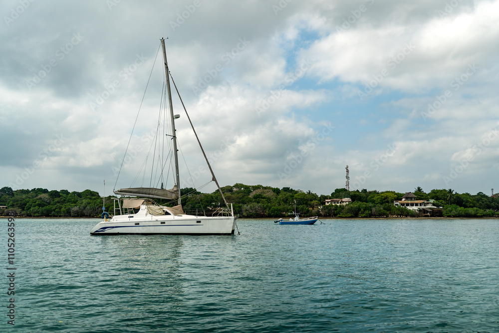 A white catamaran sails on a blue sea against a cloudy sky. luxury sailing boat,