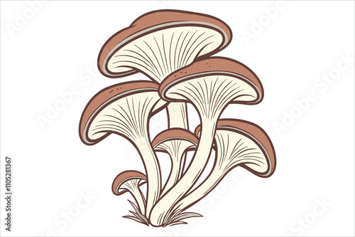 Vector Hand Drawn Cartoon Mushroom with Outline Icon Set Isolated. Brown Edible Boletus Mushroom Illustration, Mushrooms Collection. 