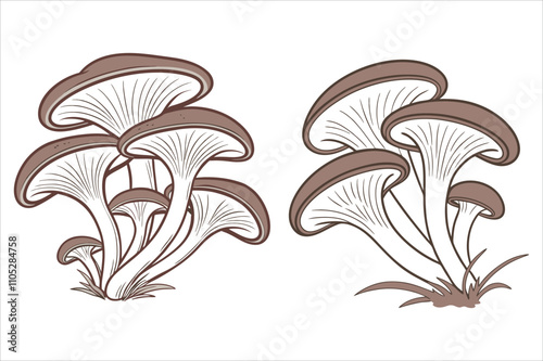 Vector Hand Drawn Cartoon Mushroom with Outline Icon Set Isolated. Brown Edible Boletus Mushroom Illustration, Mushrooms Collection. 