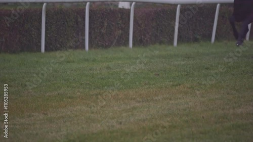 Horses racing on a grass-covered track during a foggy autumn day. Close-up of legs tearing through the turf, with dirt flying up in slow motion. photo