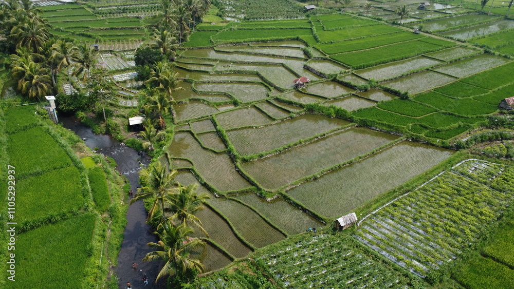A breathtaking view of terraced rice fields, bathed in morning sunlight, creating a serene and refreshing natural panorama that soothes the soul A breathtaking view of terraced rice fields, bathed in morning sunlight, creating a serene and refreshing natural panorama that soothes the soul