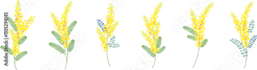ミモザの花のベクター素材イラスト