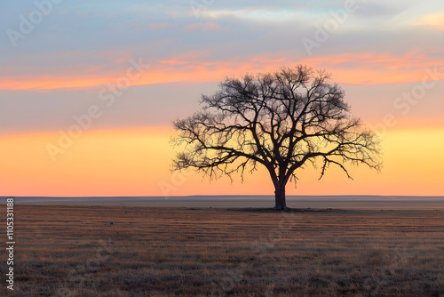 Solitary Tree at Sunset: Golden Silence and Timeless Elegance in Nature’s Embrace