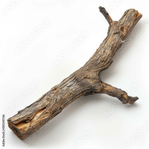 Closeup of dry wooden Trunk branch.  Closeup of dry wooden Trunk branch. photo