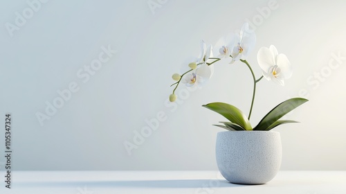 Wallpaper Mural  Elegant orchid in bloom within a simple ceramic planter on a clean white background  Torontodigital.ca