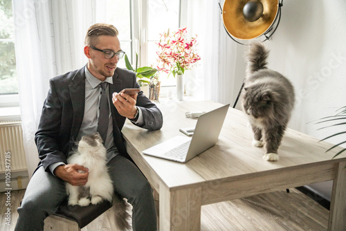 Junger Mann im Homeoffice Arbeiten am Schreibtisch Laptop konzentriert produktiv im modernen Homeoffice Umfeld photo