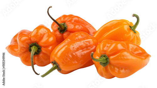 Orange Habanero Peppers isolated on a transparent background. photo