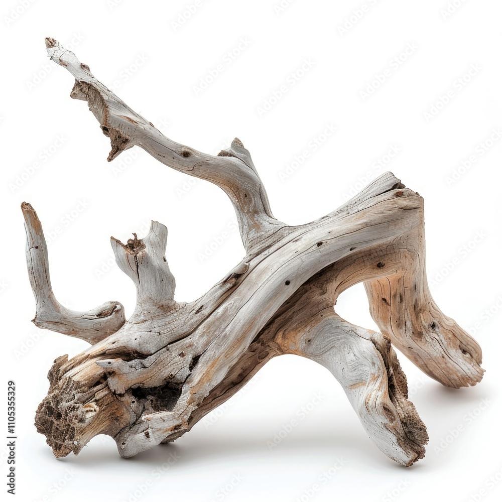 Fototapeta premium White driftwood