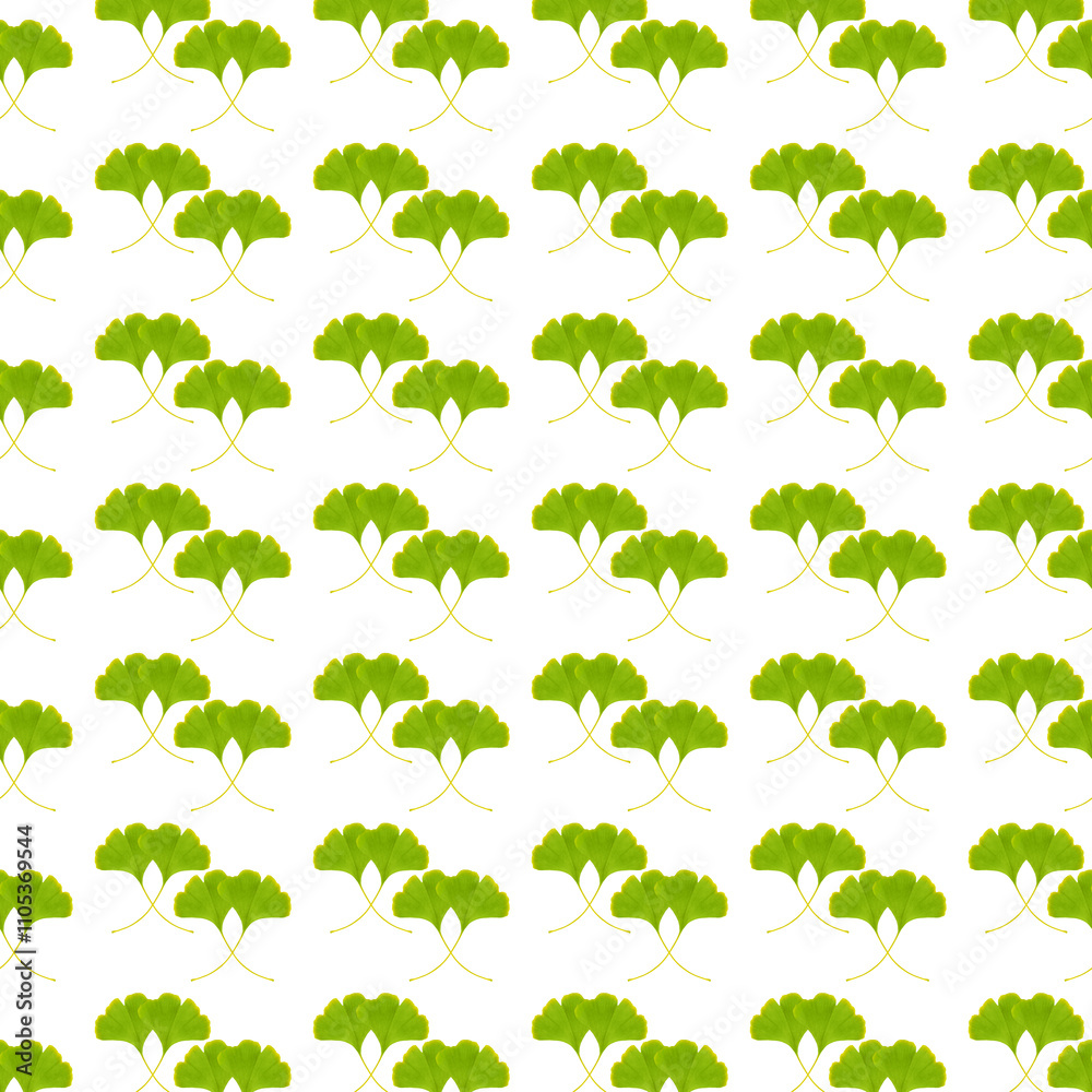 Ginkgo biloba leaves pattern on white background. Ginkgo biloba leaves pattern on white background.
