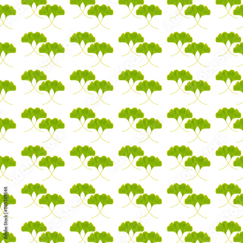 Ginkgo biloba leaves pattern on white background.