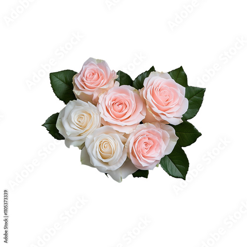 Beautiful bouquet of pink and white roses with transparent background