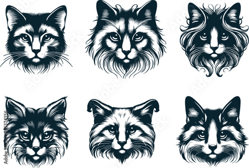 Cat Head Shape Vector