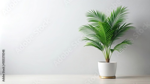 Serene Minimalist Interior Design Featuring a Lush Green Palm Plant in a White Pot Against a Neutral Wall