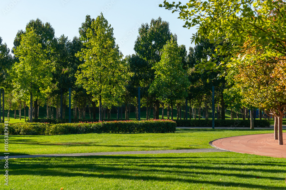 Obraz premium Landscape with green grass, ornamental trees and trimmed bushes on a sunny autumn day. Public landscape city park