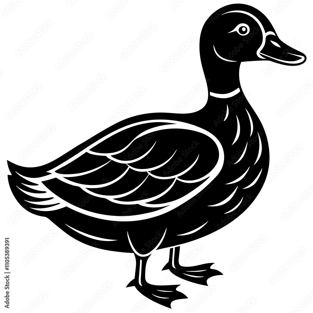 illustration of duck illustration of duck