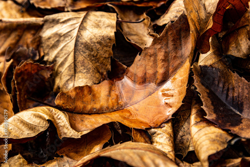 Otoño
