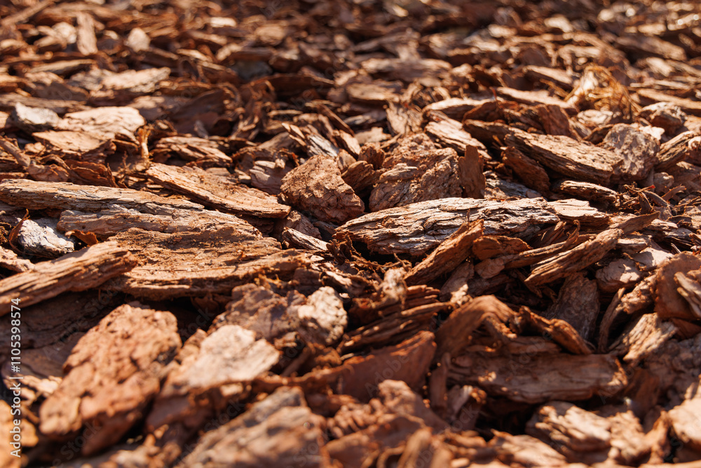 Background of large pieces of pine bark. View from an angle, selective focus, close-up. Background of large pieces of pine bark. View from an angle, selective focus, close-up.