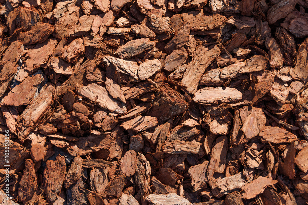 Abstract background of large pieces of pine bark. Top view. Abstract background of large pieces of pine bark. Top view.